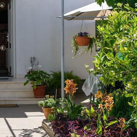 טרוגיר Apartments Beba - Peaceful Location מראה חיצוני תמונה