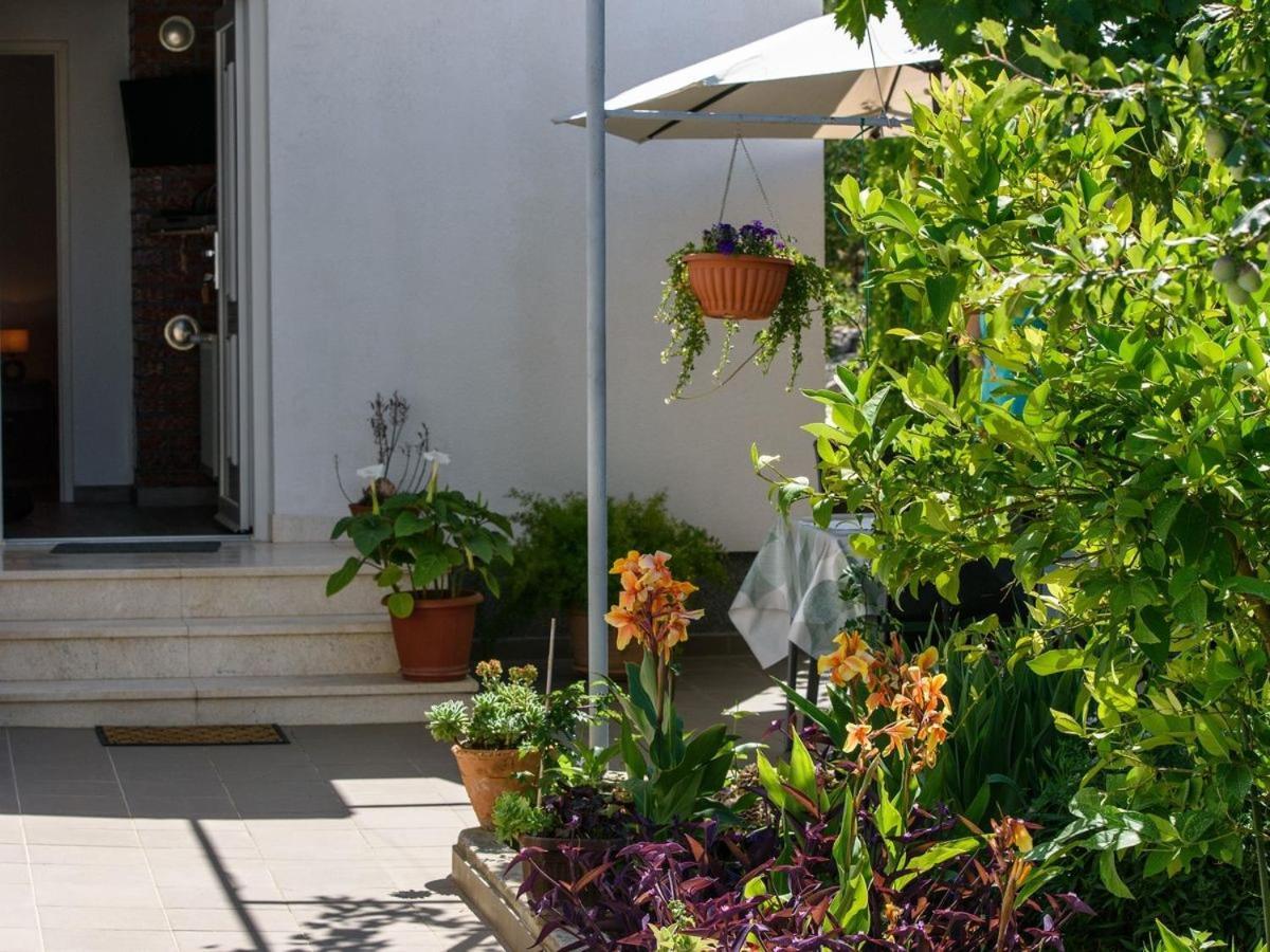 טרוגיר Apartments Beba - Peaceful Location מראה חיצוני תמונה