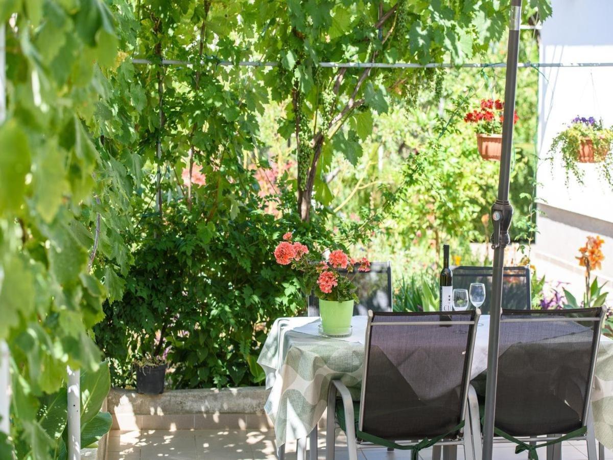טרוגיר Apartments Beba - Peaceful Location מראה חיצוני תמונה