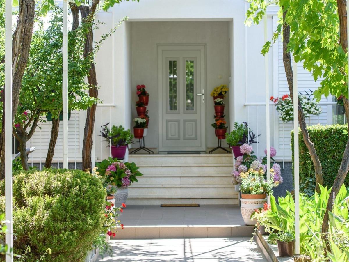 טרוגיר Apartments Beba - Peaceful Location מראה חיצוני תמונה